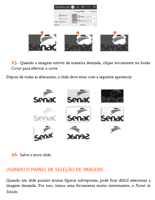 PowerPoint2019-cap3-1762171824761.png