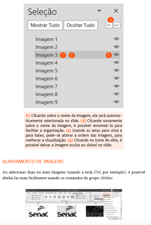 PowerPoint2019-cap3-1762171848385.png